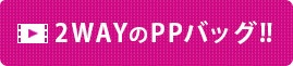 2WAYのPPバッグ!!