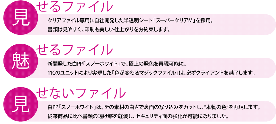 見せるファイル 魅せるファイル 見せないファイル